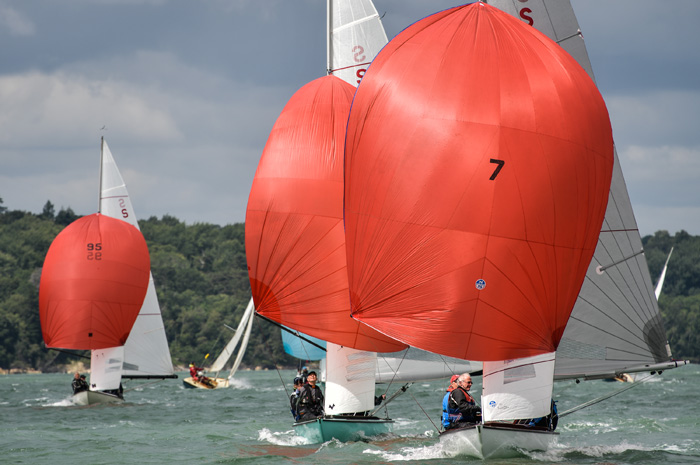 Swallows enjoy boisterous downwind sailing